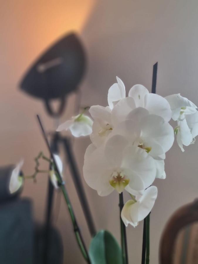 Wellness Ferienhaus เมเคอร์นิค ภายนอก รูปภาพ